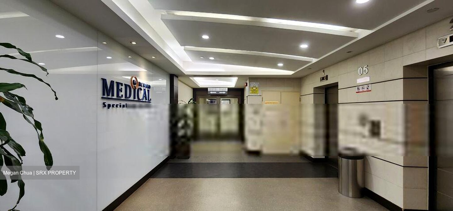 Lucky Plaza (D9), Retail #460173391